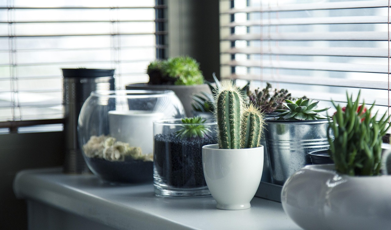 Systeem voor verticale binnentuinen met bloeiende planten. Systeem voor verticale binnentuinen met bloeiende planten.