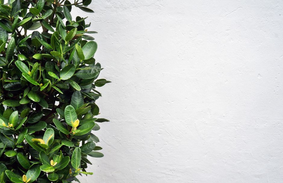 Slaapkamer met fotobehang van kleurrijke bloemen.