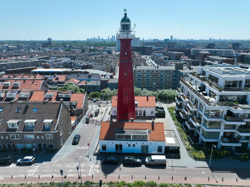 Stedelijke daktuin met zonovergoten planten en bloemen. Stedelijke daktuin met zonovergoten planten en bloemen.