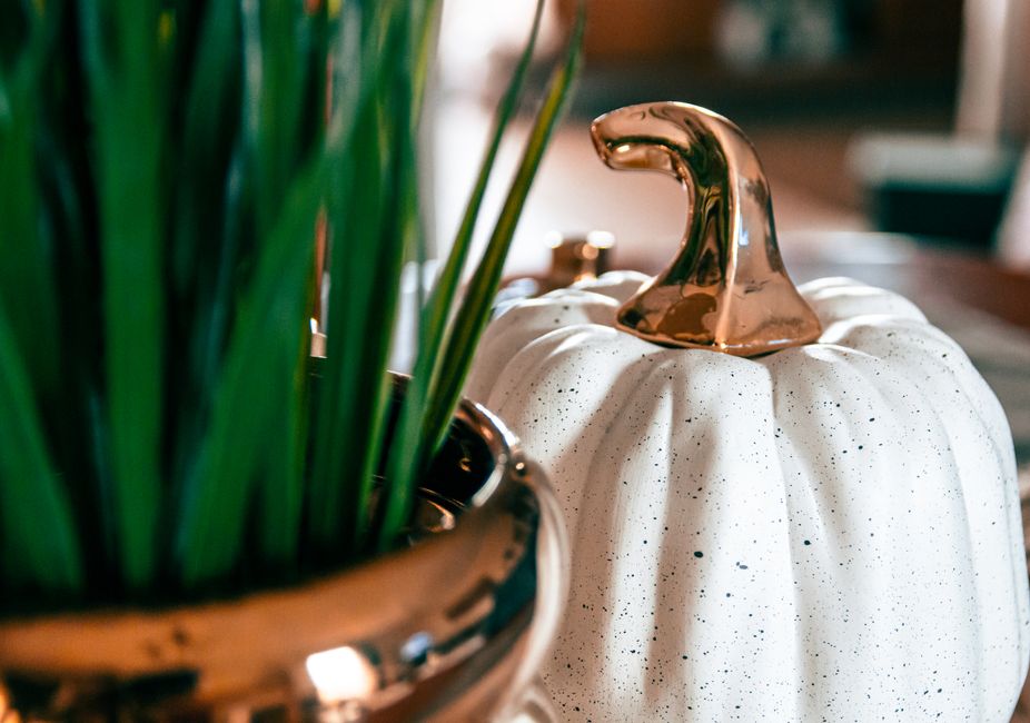 Kaneelstokjes omringd door kleurrijke herfstbladeren.