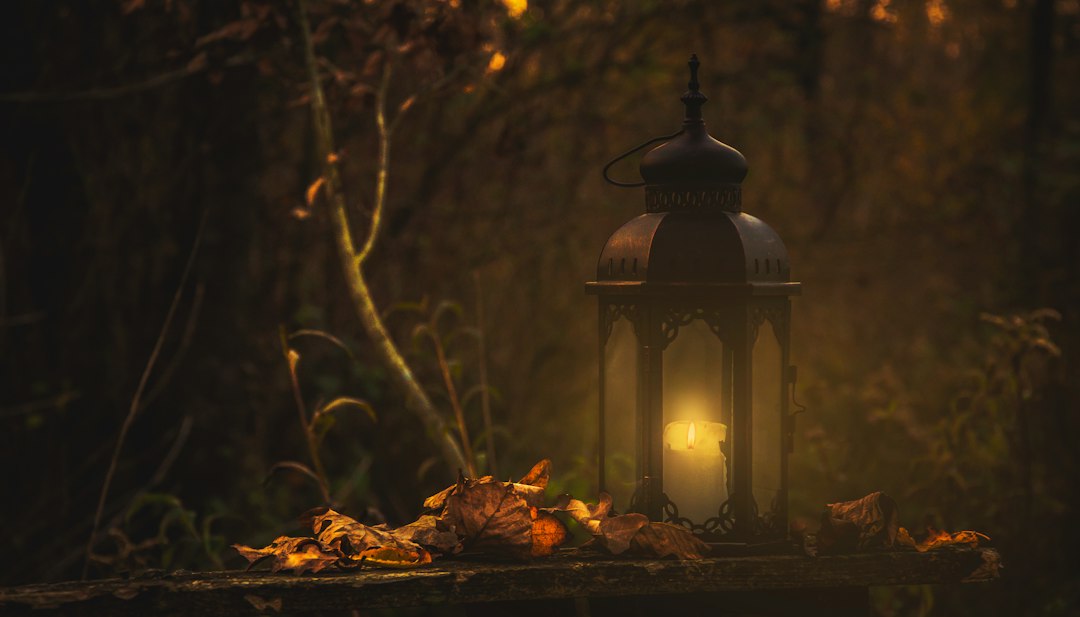 Hoekkamer met warme herfstverlichting en zwanenkunst. Hoekkamer met warme herfstverlichting en zwanenkunst.